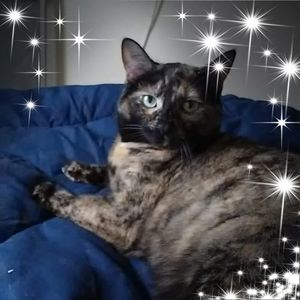 Meet your Posher, Edna